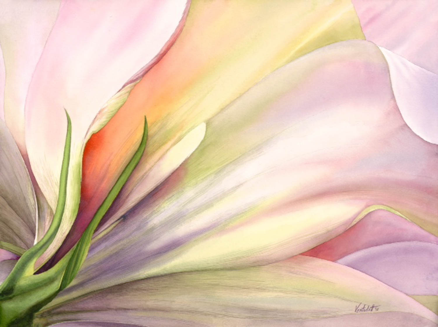 Close-up of pastel-colored flower petals with green sepals, blending shades of pink, yellow, and white.