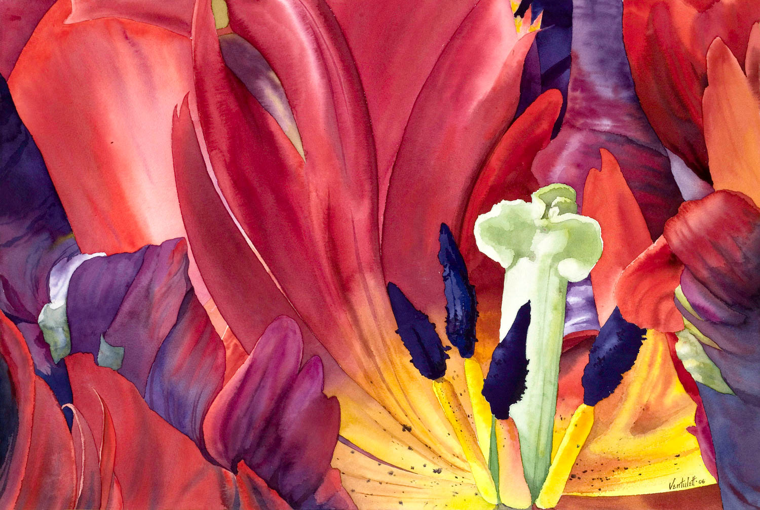 Close-up watercolor painting of a vibrant red and purple flower with a green pistil and dark stamens in the center.