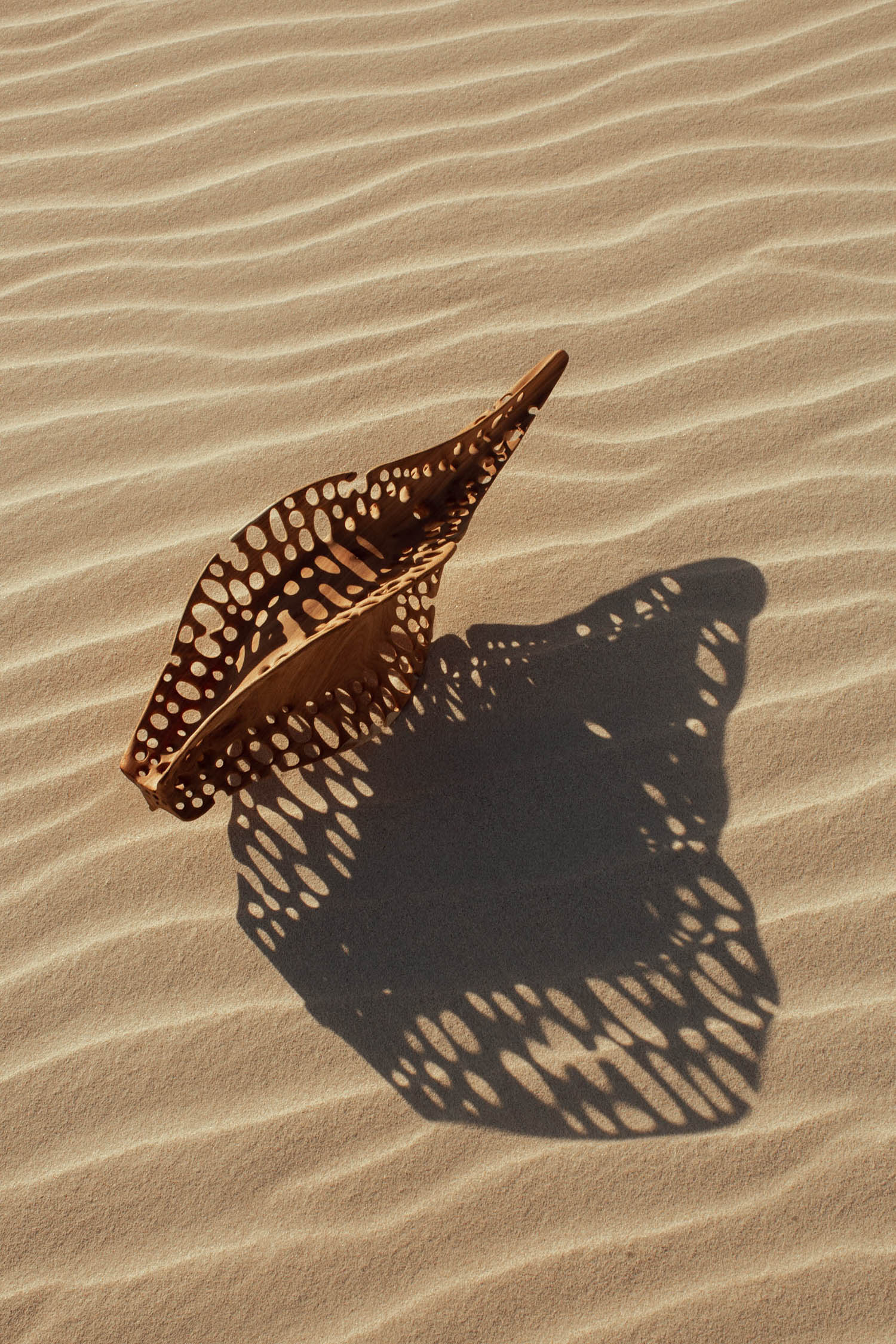 A large, perforated bronze sculpture sits on rippled sand, casting an intricate shadow with similar patterns.