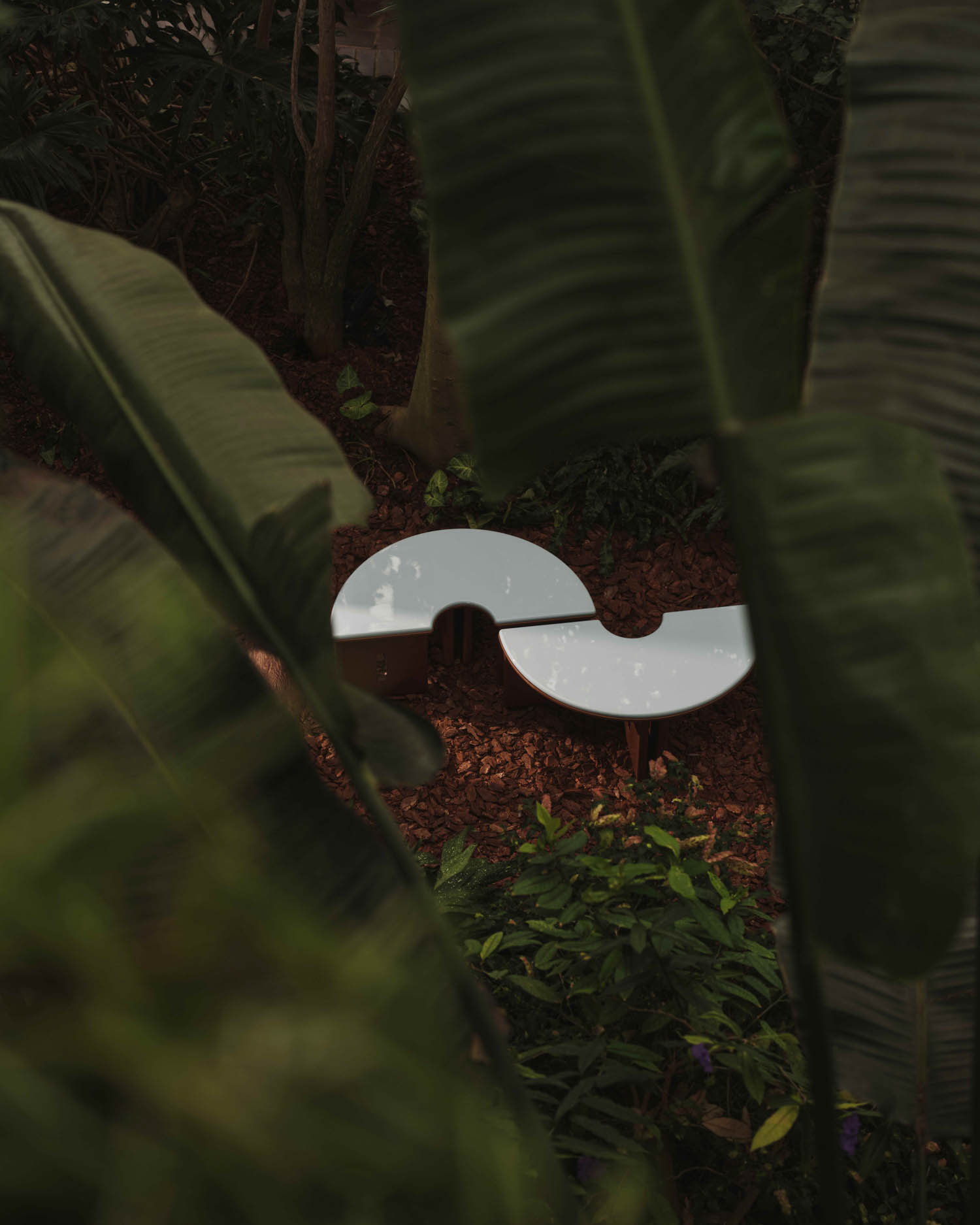 Curved white bench in a garden setting, partially obscured by large green leaves and surrounded by mulch and plants.