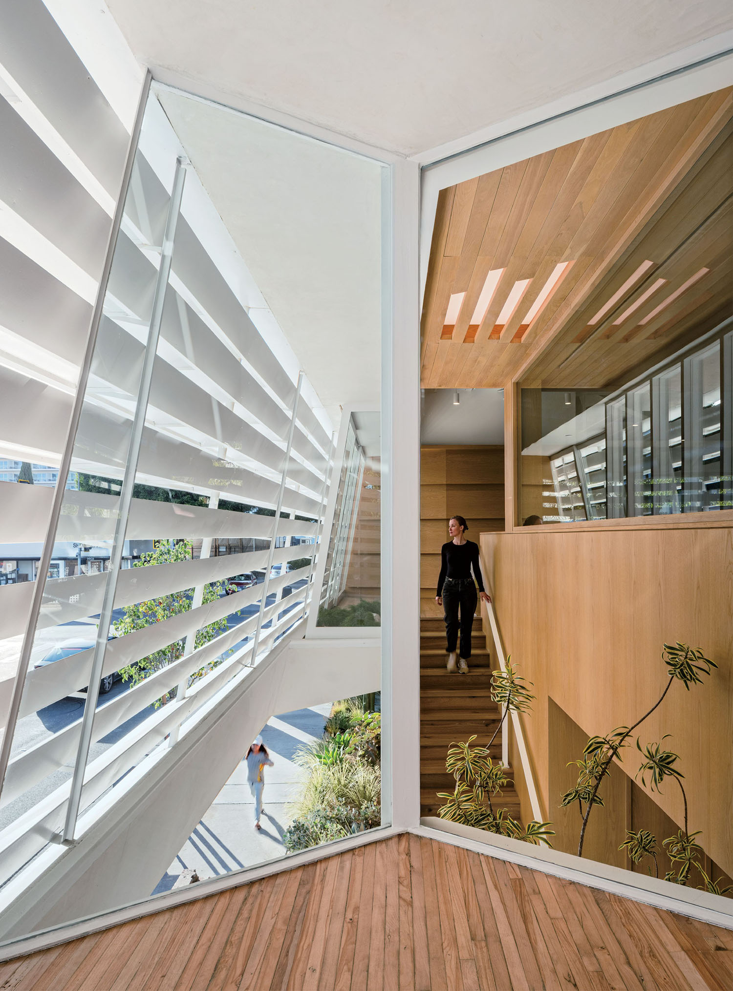 Interior view of a modern building with wooden floors and walls, large glass windows, and a person standing on a stairway. Another person walks outside along a white louvered facade.