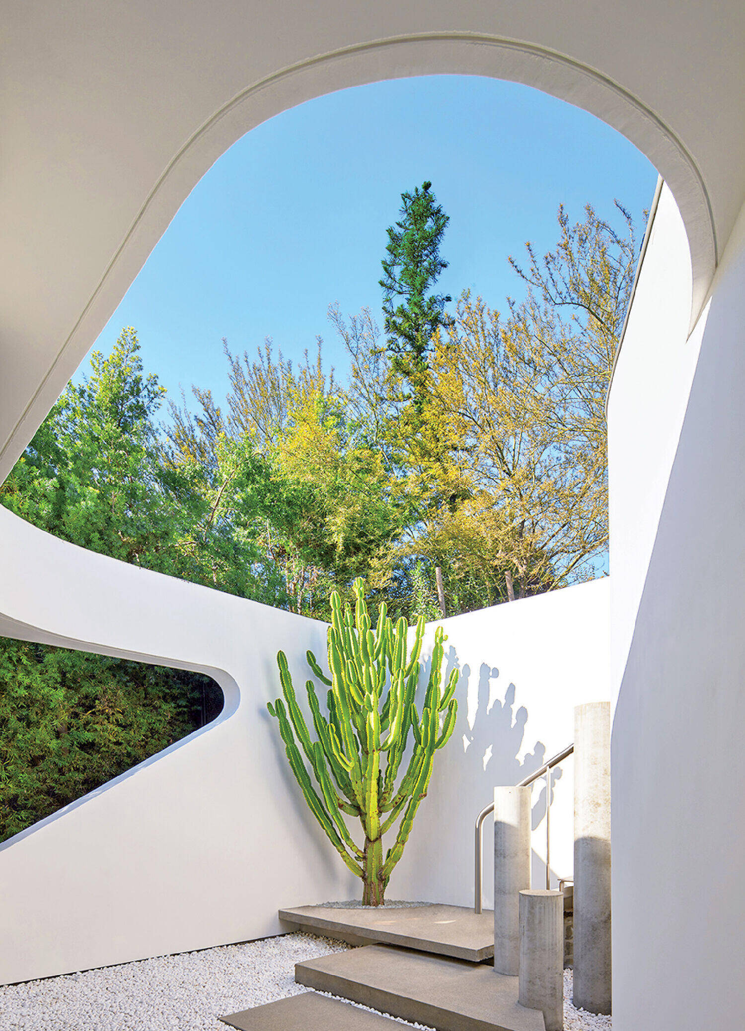Modern white outdoor staircase with curved walls, a tall cactus, and an opening above revealing blue sky and green trees in the background.