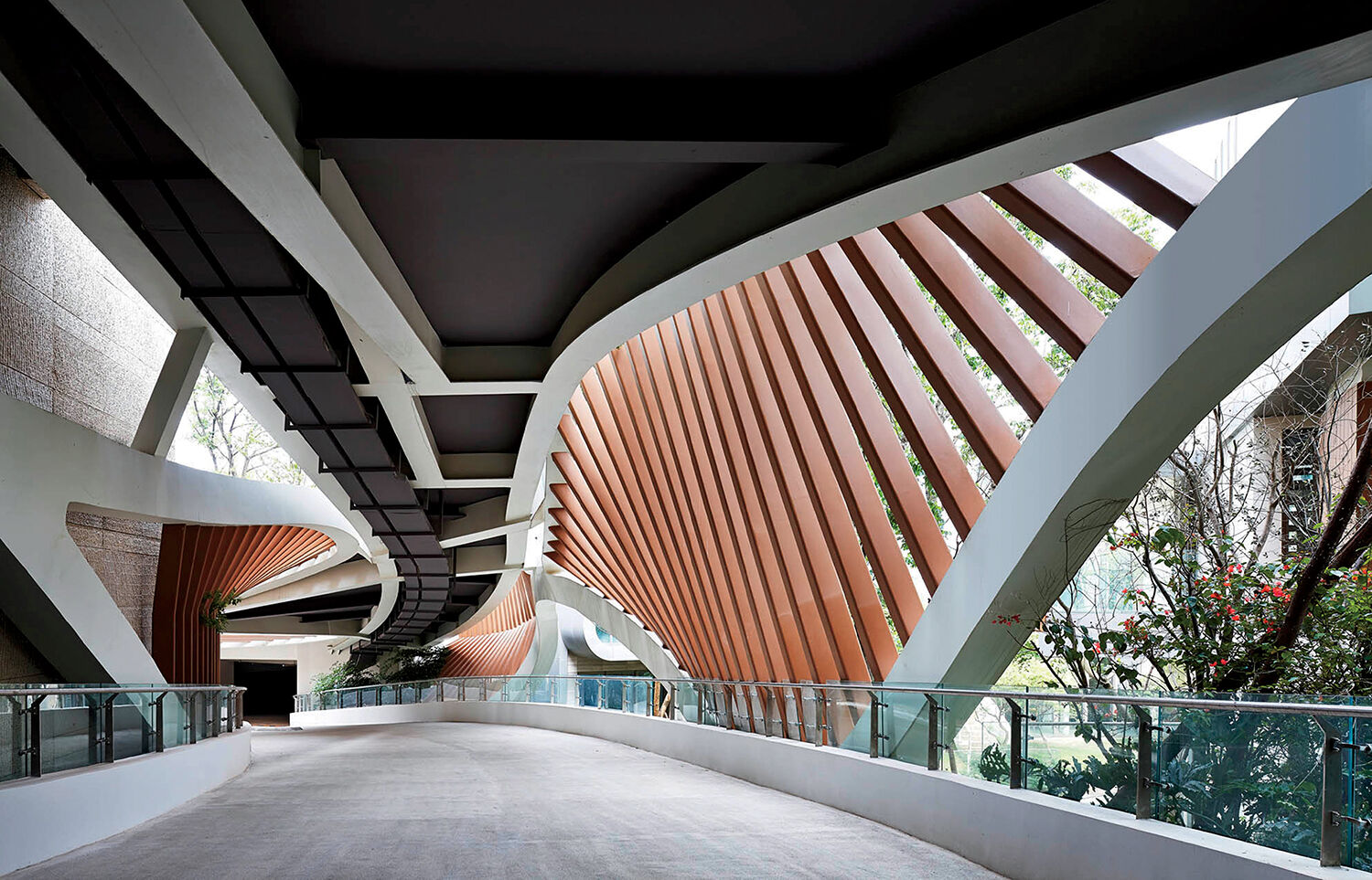 Curved modern walkway with glass railings, wooden slats, and concrete beams, partially open to the outside, with plants visible through the structure.