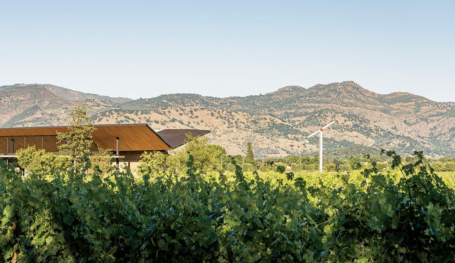 A vineyard with a modern building and a wind turbine against a backdrop of rolling hills.