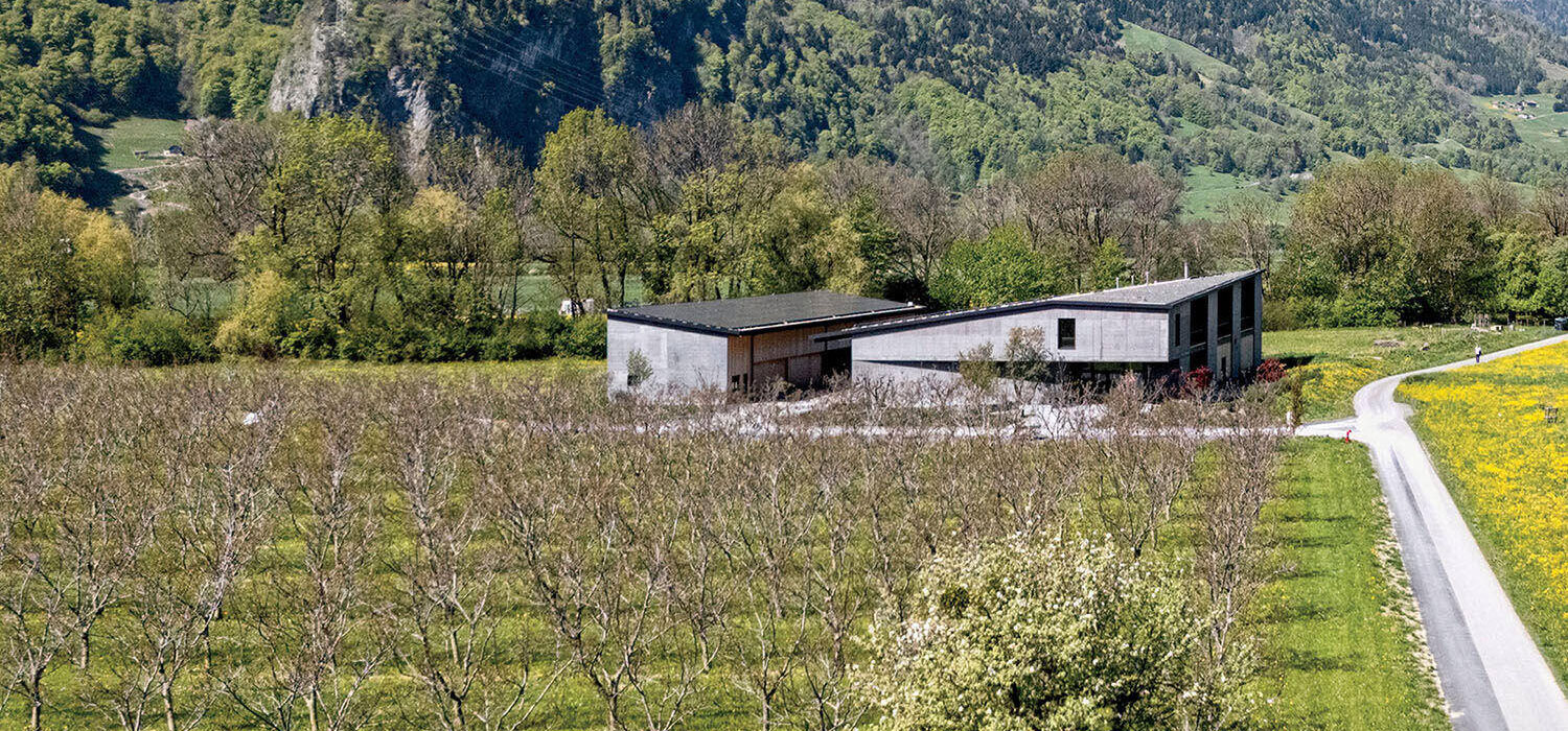 A modern, angular building with a dark roof sits in a rural landscape featuring an orchard and a dirt path.