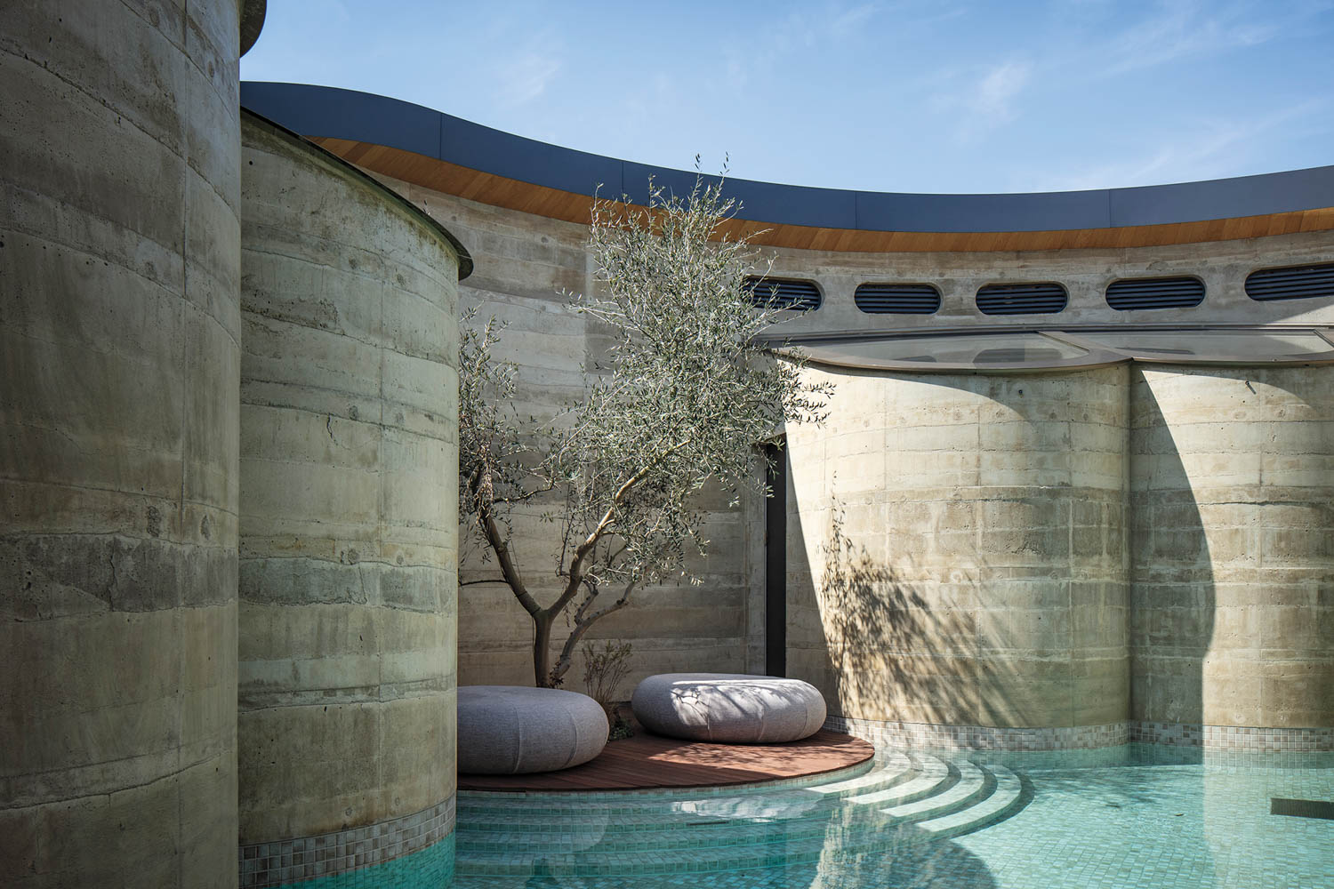 A small olive tree and two round cushions on a wooden deck beside a curved pool, surrounded by high, textured concrete walls.