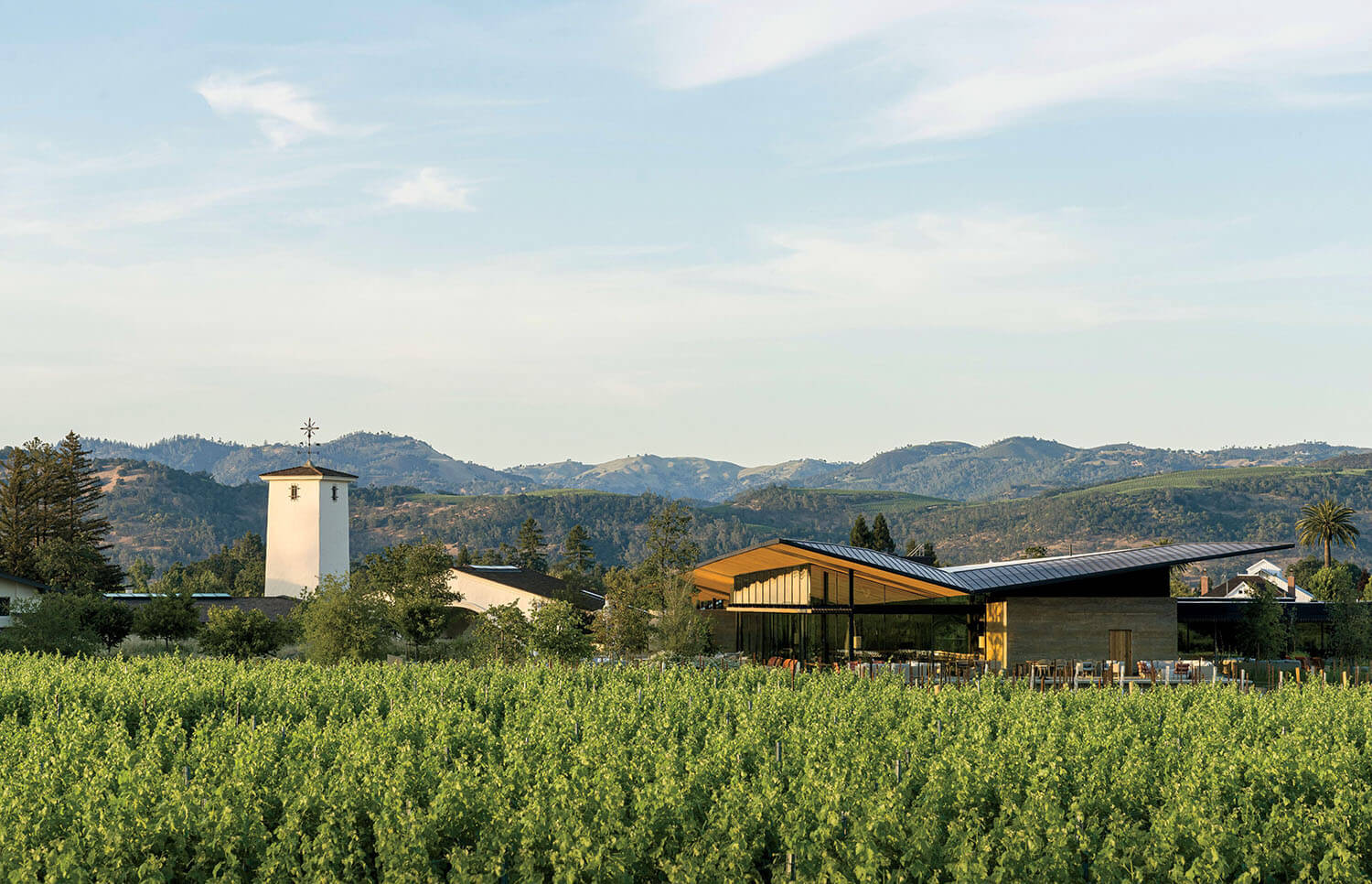 A modern winery building with a tall tower sits behind rows of grapevines, with mountains in the background.