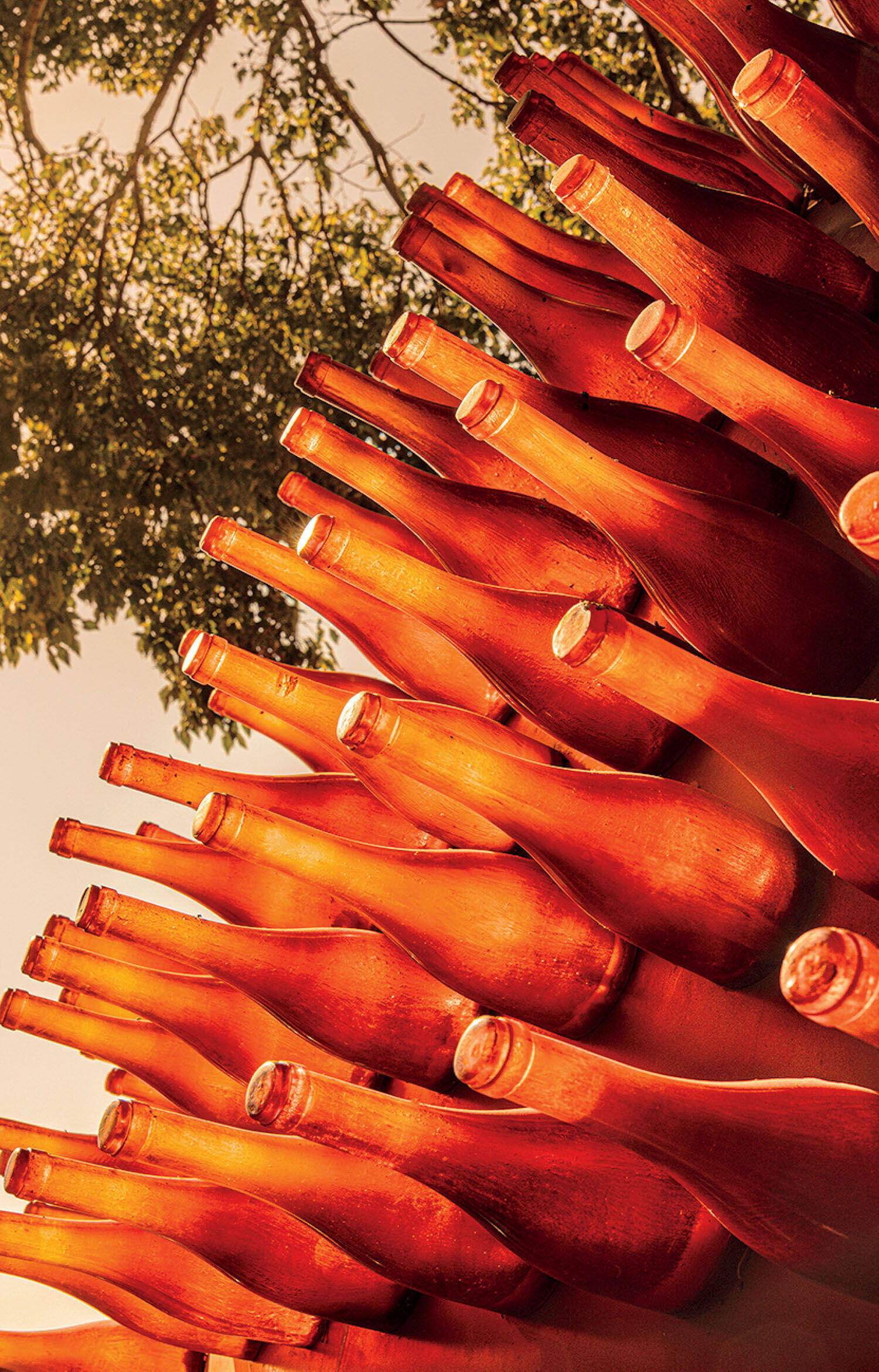 A diagonal stack of amber-colored glass bottles with silhouettes of tree branches in the background.