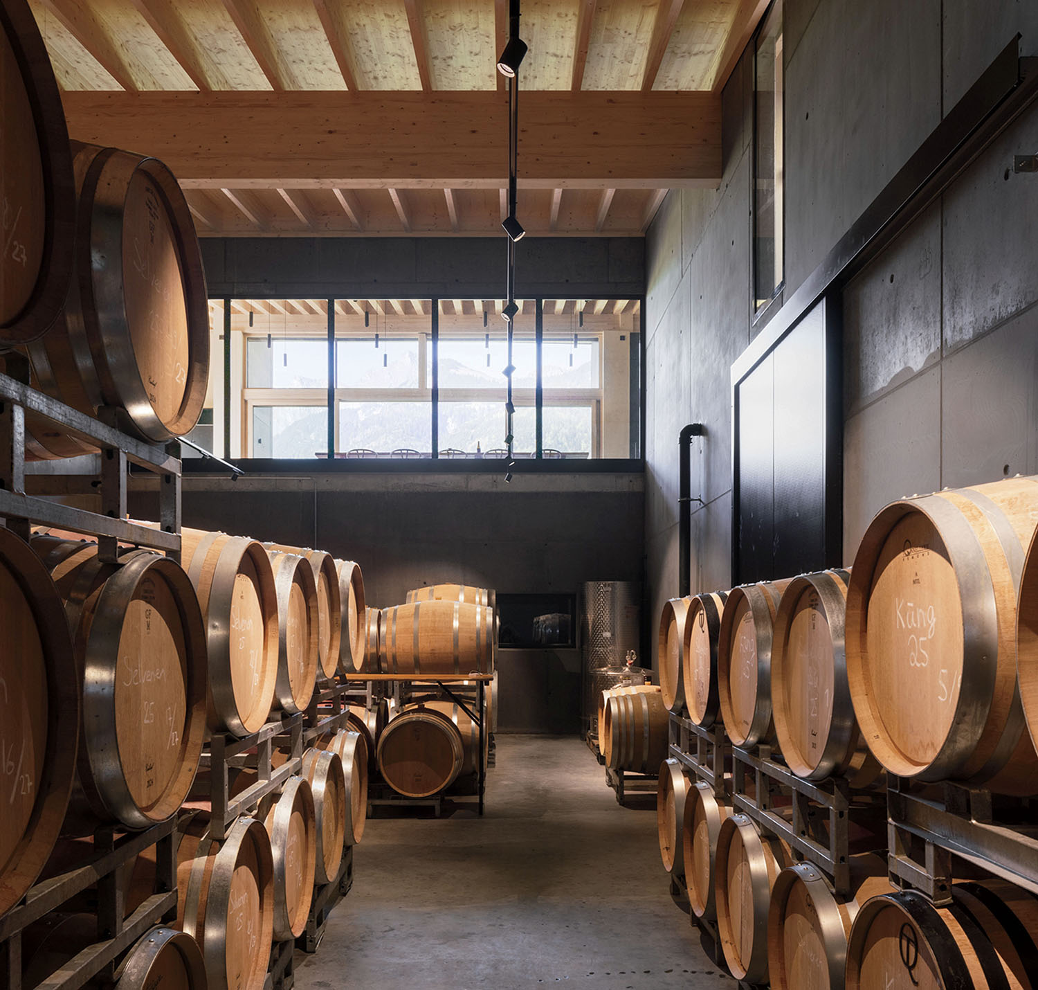 Rows of stacked wooden wine barrels in a concrete cellar with a large window in the background.