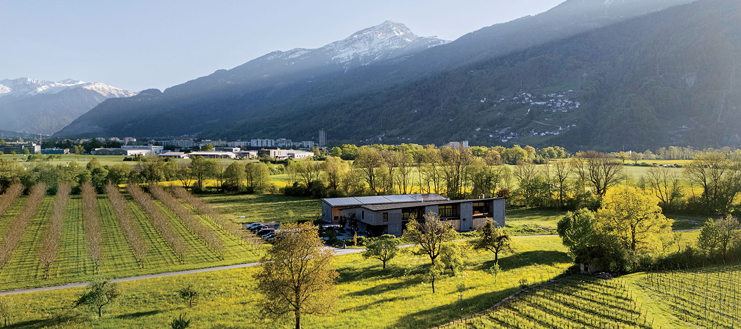 A modern building surrounded by a meadow, orchard, and vineyard, with snow-capped mountains in the background.