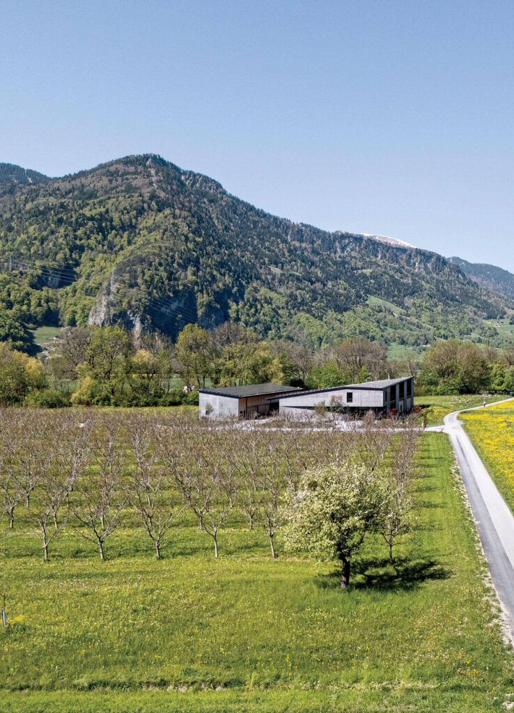 A modern concrete building situated in an orchard at the base of a mountain.