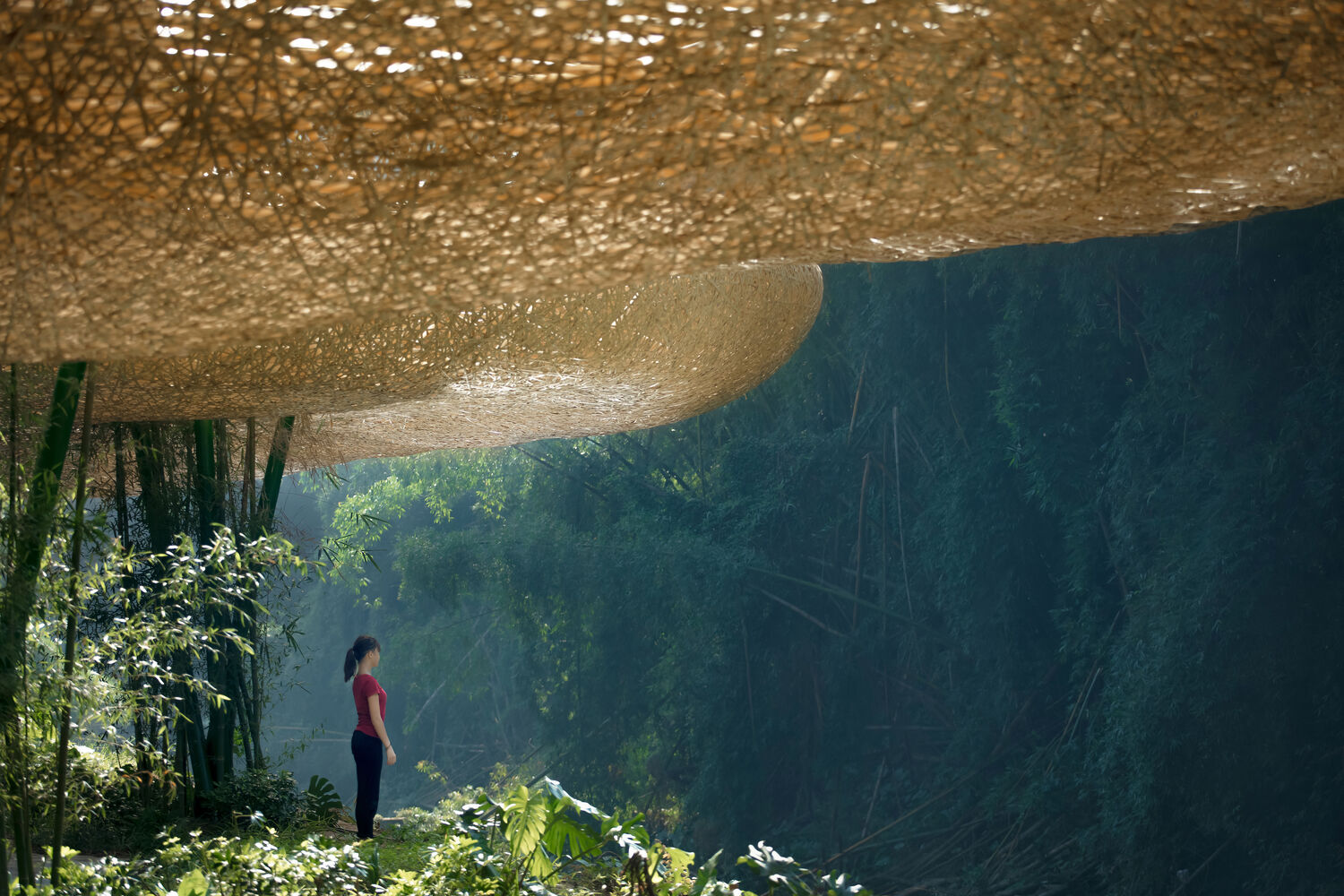 Bamboo, Canopy and Pavilions, Impression SanjieLiu